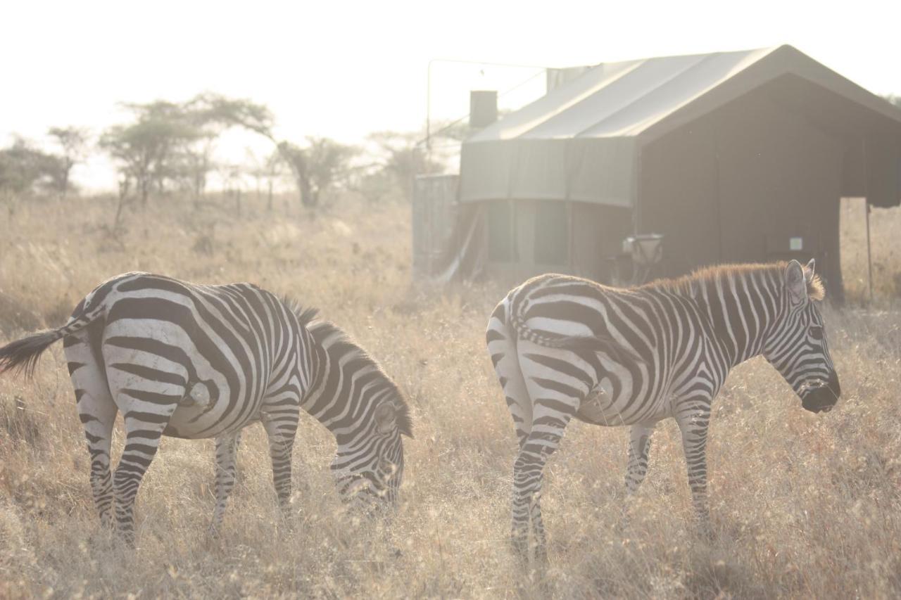 Kananga Special Tented Camp Banagi Exterior photo